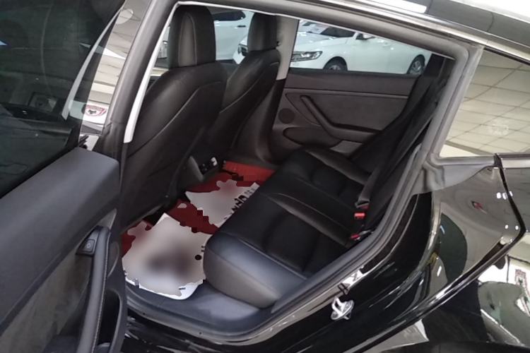 Used Tesla Model 3 2022 Rear-Wheel-Drive Version Left Rear Seat