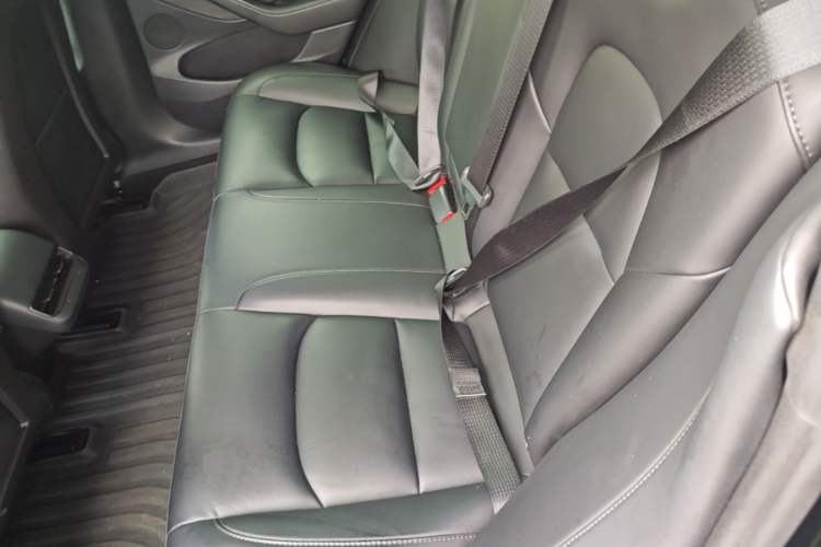 Used Tesla Model 3 2022 Rear-Wheel-Drive Version Left Rear Seat