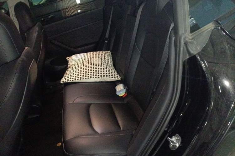 Used Tesla Model 3 2022 Rear-Wheel-Drive Version Left Rear Seat
