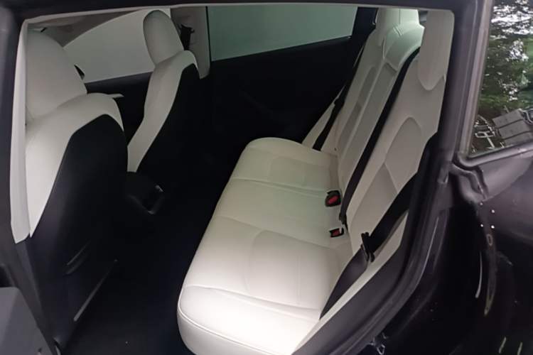 Used Tesla Model 3 2022 Rear-Wheel-Drive Version Left Rear Seat