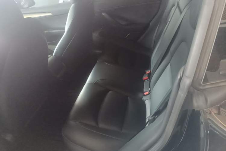 Used Tesla Model 3 2022 Performance High-Performance All-Wheel-Drive Version Left Rear Seat