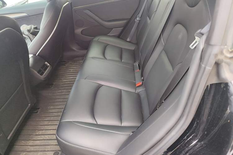 Used Tesla Model 3 2022 Rear-Wheel-Drive Version Left Rear Seat