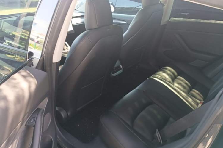 Used Tesla Model 3 2022 Performance High-Performance All-Wheel-Drive Version Left Rear Seat