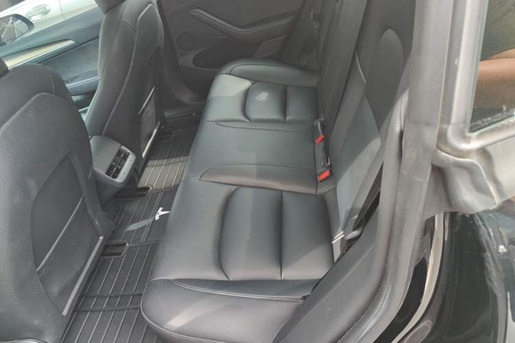 Used Tesla Model 3 2022 Rear-Wheel-Drive Version Left Rear Seat