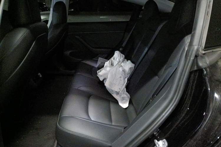 Used Tesla Model 3 2022 Rear-Wheel-Drive Version Left Rear Seat