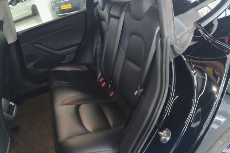 Used Tesla Model 3 2022 Rear-Wheel-Drive Version Left Rear Seat