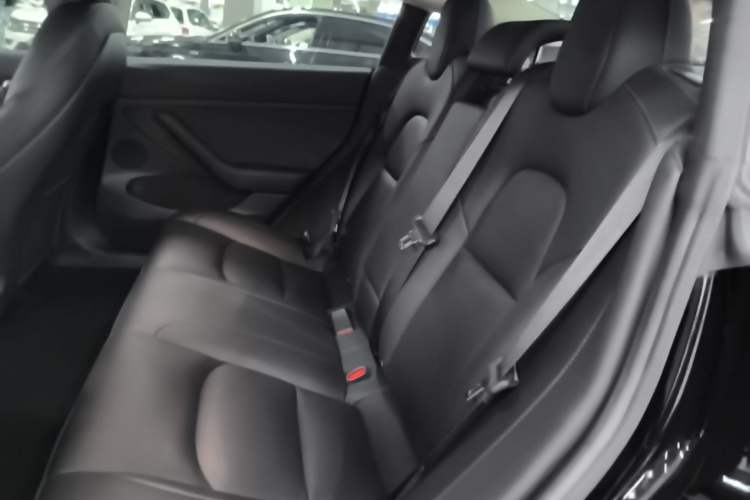 Used Tesla Model 3 2022 Rear-Wheel-Drive Version Left Rear Seat