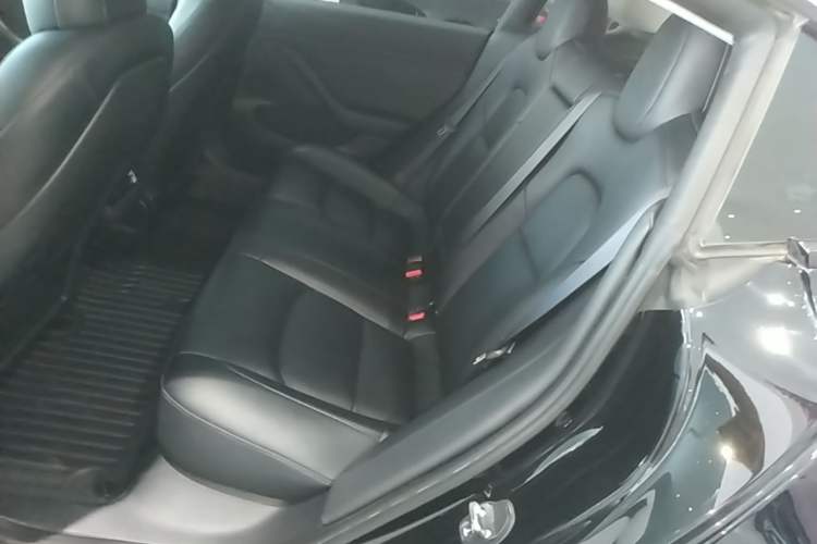 Used Tesla Model 3 2022 Rear-Wheel-Drive Version Left Rear Seat