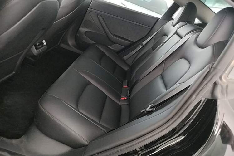 Used Tesla Model 3 2022 Rear-Wheel-Drive Version Left Rear Seat