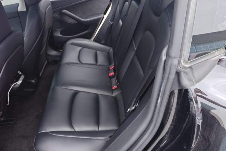 Used Tesla Model 3 2022 Rear-Wheel-Drive Version Left Rear Seat