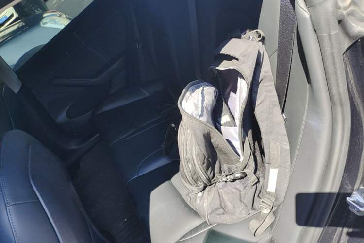 Used Tesla Model 3 2022 Rear-Wheel-Drive Version Left Rear Seat