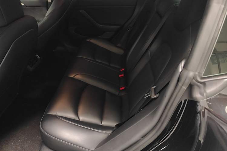 Used Tesla Model 3 2022 Rear-Wheel-Drive Version Left Rear Seat