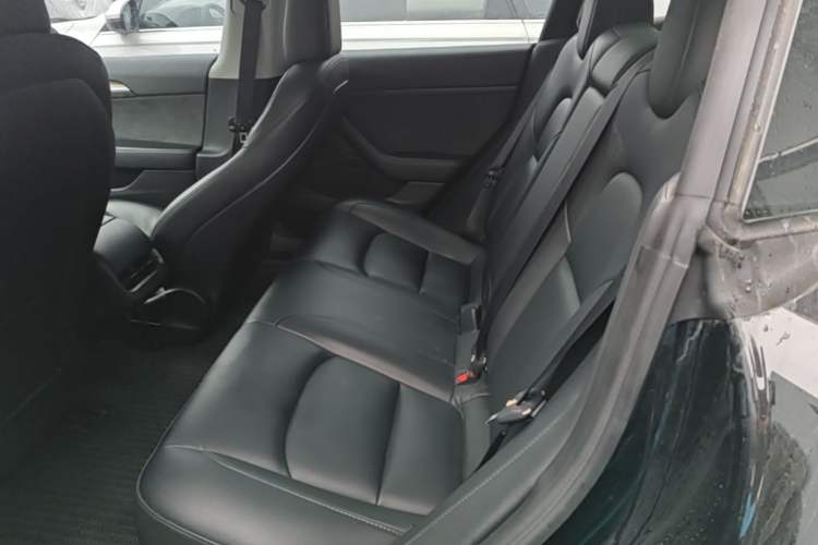 Used Tesla Model 3 2022 Rear-Wheel-Drive Version Left Rear Seat
