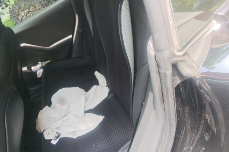 Used Tesla Model 3 2022 Rear-Wheel-Drive Version Left Rear Seat