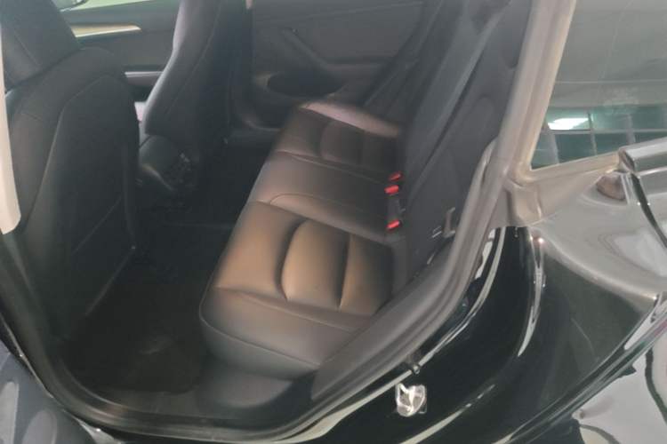 Used Tesla Model 3 2022 Rear-Wheel-Drive Version Left Rear Seat