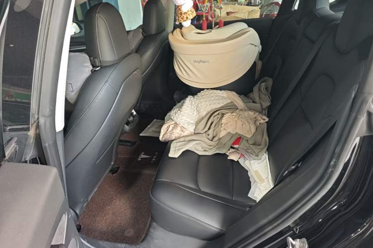 Used Tesla Model 3 2022 Rear-Wheel-Drive Version Left Rear Seat