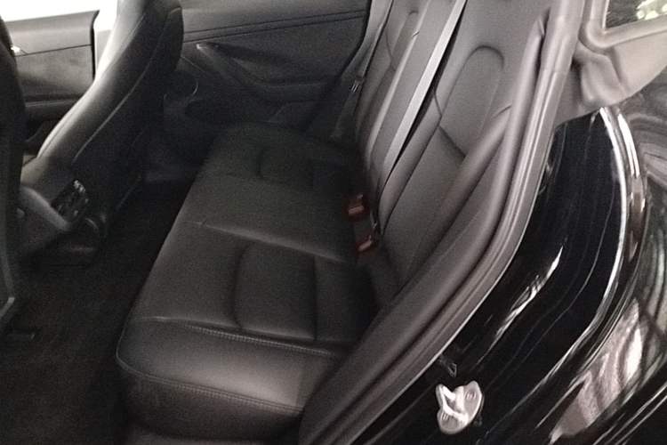 Used Tesla Model 3 2022 Rear-Wheel-Drive Version Left Rear Seat