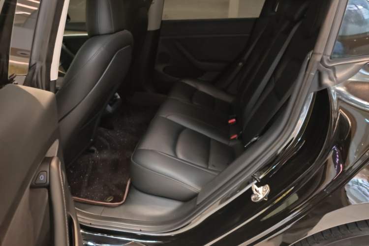 Used Tesla Model 3 2022 Rear-Wheel-Drive Version Left Rear Seat
