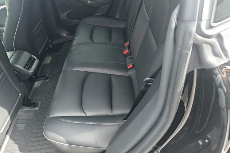 Used Tesla Model 3 2022 Rear-Wheel-Drive Version Left Rear Seat