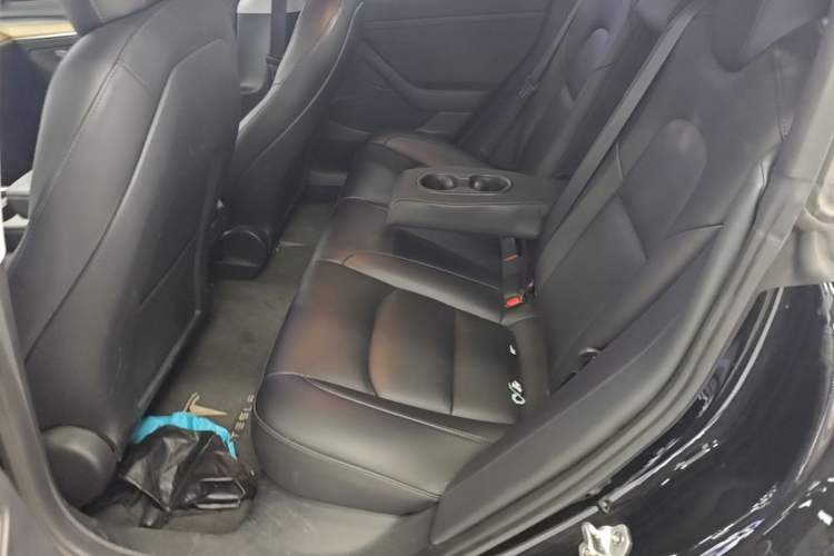 Used Tesla Model 3 2022 Rear-Wheel-Drive Version Left Rear Seat