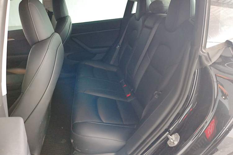 Used Tesla Model 3 2022 Rear-Wheel-Drive Version Left Rear Seat