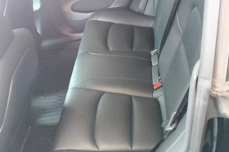 Used Tesla Model 3 2022 Rear-Wheel-Drive Version Left Rear Seat
