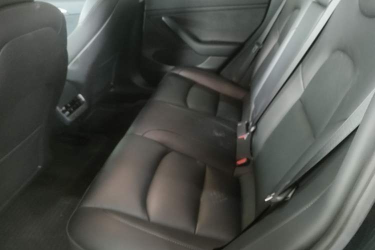 Used Tesla Model 3 2022 Rear-Wheel-Drive Version Left Rear Seat