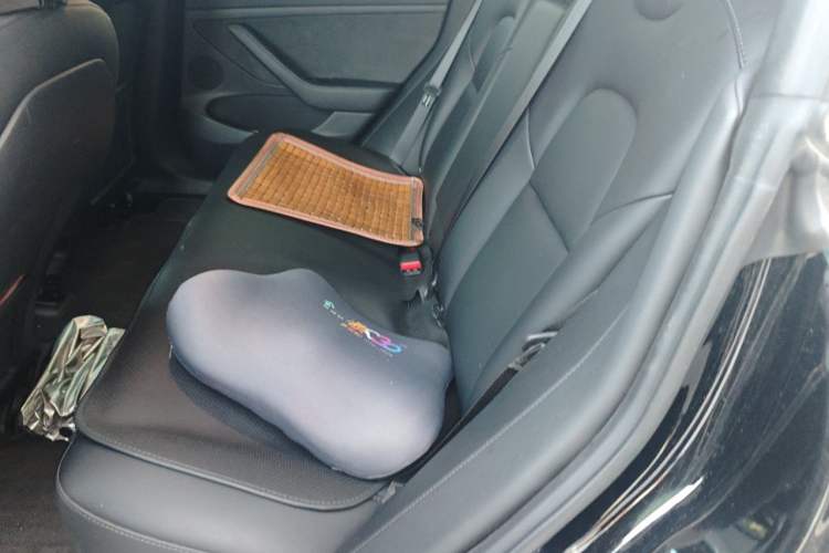 Used Tesla Model 3 2022 Rear-Wheel-Drive Version Left Rear Seat