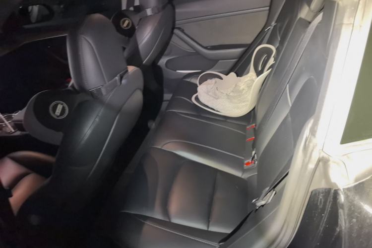 Used Tesla Model 3 2022 Rear-Wheel-Drive Version Left Rear Seat
