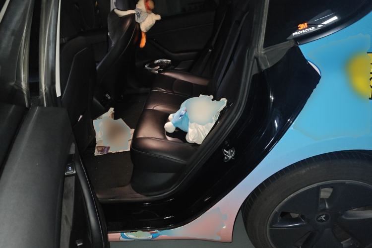 Used Tesla Model 3 2022 Rear-Wheel-Drive Version Left Rear Seat