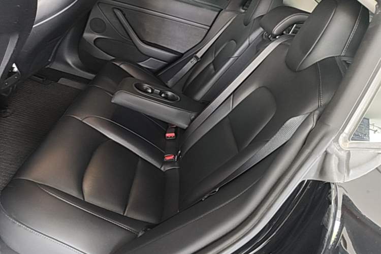 Used Tesla Model 3 2022 Performance High-Performance All-Wheel-Drive Version Left Rear Seat