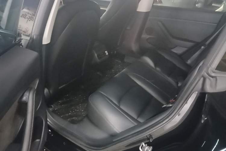 Used Tesla Model 3 2022 Performance High-Performance All-Wheel-Drive Version Left Rear Seat