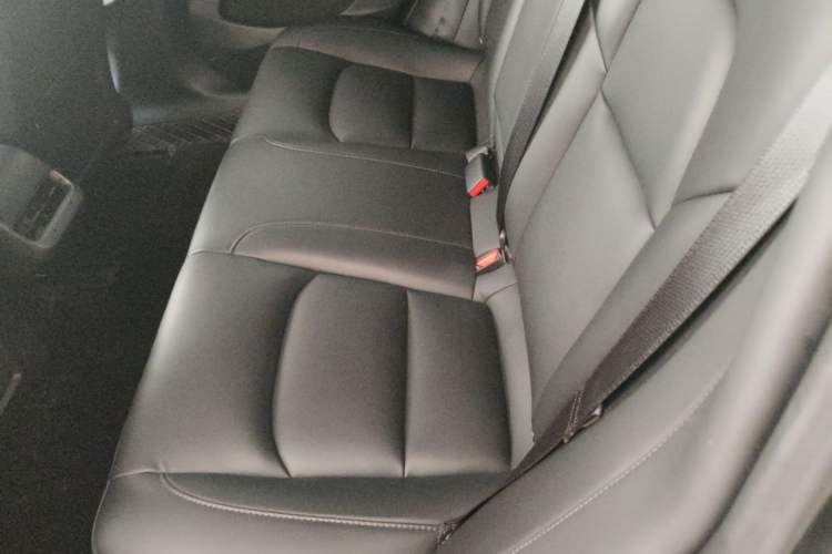 Used Tesla Model 3 2022 Rear-Wheel-Drive Version Left Rear Seat