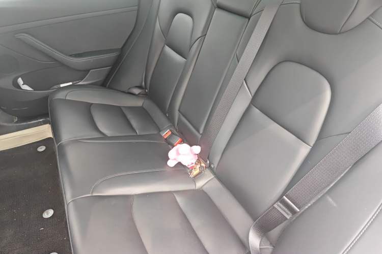 Used Tesla Model 3 2022 Rear-Wheel-Drive Version Left Rear Seat