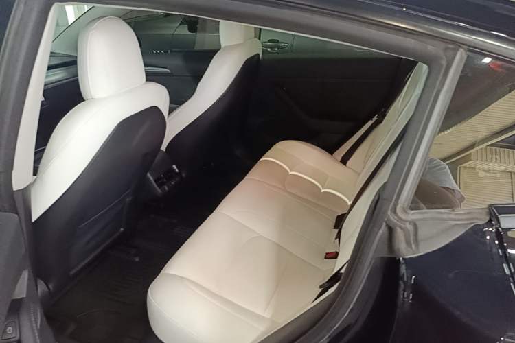 Used Tesla Model 3 2022 Rear-Wheel-Drive Version Left Rear Seat