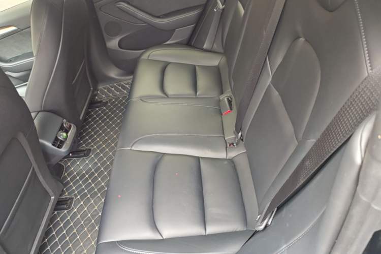 Used Tesla Model 3 2022 Rear-Wheel-Drive Version Left Rear Seat