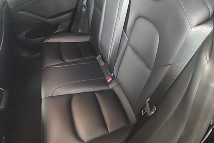 Used Tesla Model 3 2022 Rear-Wheel-Drive Version Left Rear Seat
