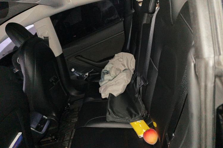 Used Tesla Model 3 2022 Rear-Wheel-Drive Version Left Rear Seat