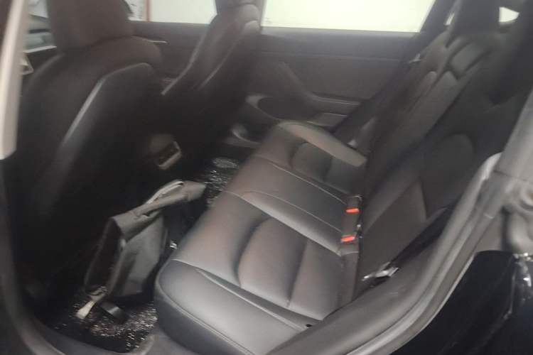 Used Tesla Model 3 2022 Performance High-Performance All-Wheel-Drive Version Left Rear Seat