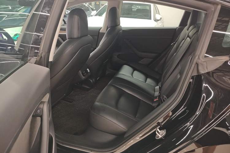 Used Tesla Model 3 2022 Rear-Wheel-Drive Version Left Rear Seat