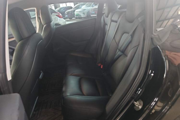 Used Tesla Model 3 2022 Rear-Wheel-Drive Version Left Rear Seat
