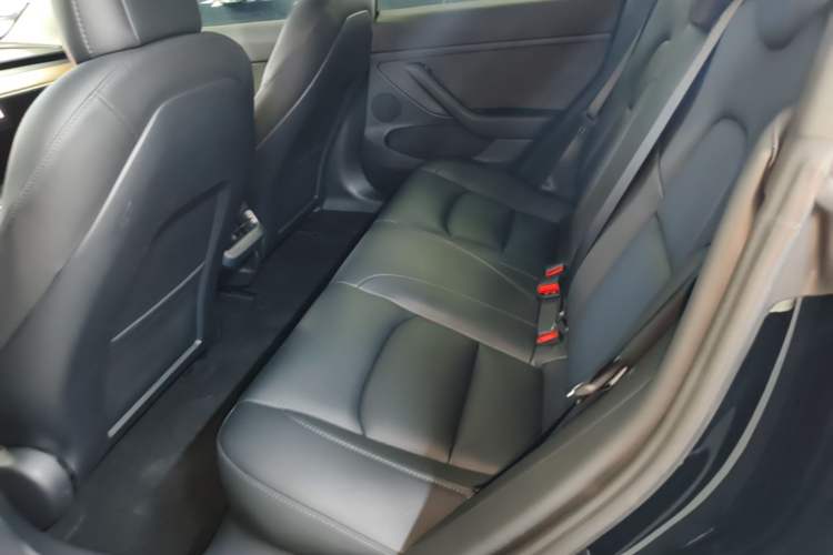 Used Tesla Model 3 2022 Rear-Wheel-Drive Version Left Rear Seat