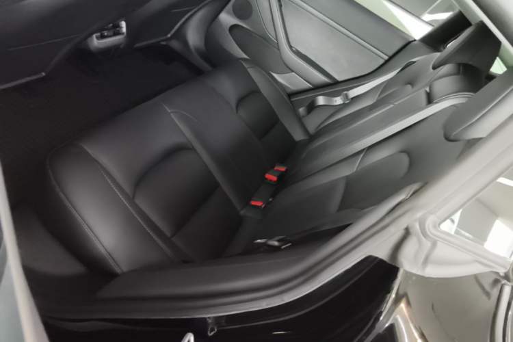 Used Tesla Model 3 2022 Rear-Wheel-Drive Version Left Rear Seat