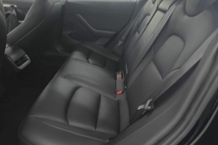 Used Tesla Model 3 2022 Rear-Wheel-Drive Version Left Rear Seat