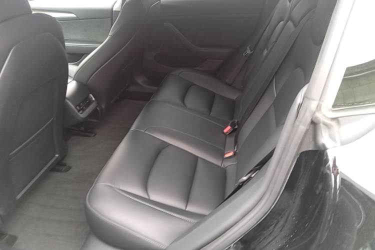 Used Tesla Model 3 2022 Rear-Wheel-Drive Version Left Rear Seat