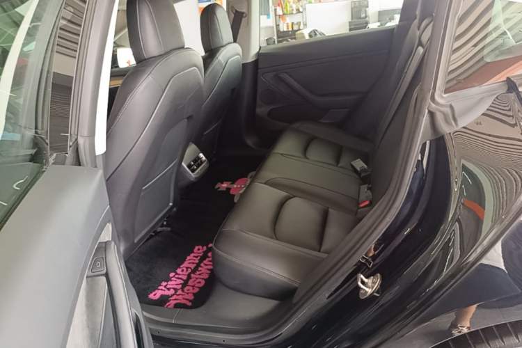 Used Tesla Model 3 2022 Rear-Wheel-Drive Version Left Rear Seat