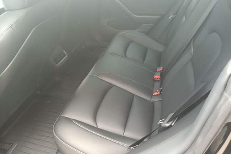 Used Tesla Model 3 2022 Rear-Wheel-Drive Version Left Rear Seat