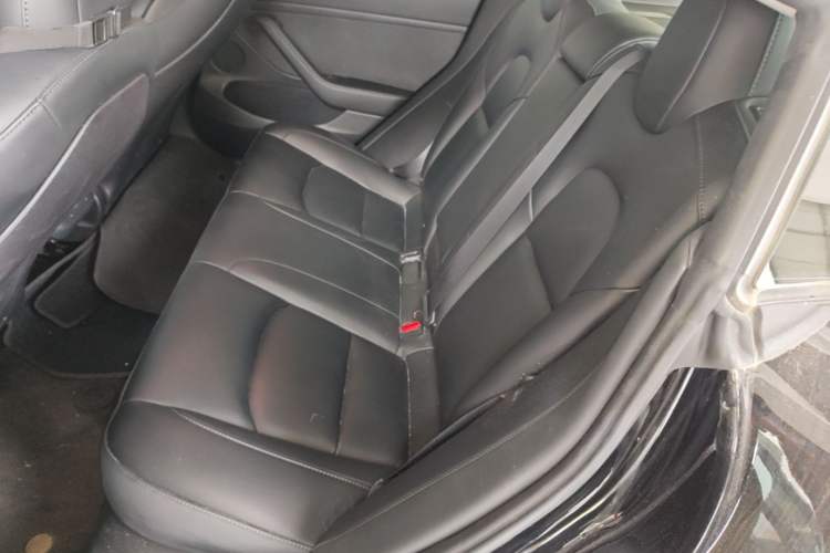 Used Tesla Model 3 2022 Rear-Wheel-Drive Version Left Rear Seat
