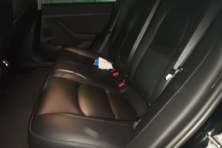 Used Tesla Model 3 2022 Rear-Wheel-Drive Version Left Rear Seat