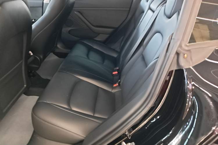 Used Tesla Model 3 2022 Rear-Wheel-Drive Version Left Rear Seat